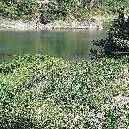 Dom wakacyjny River House Sejaes *